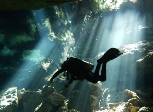 Maravillas del buceo en cenote
